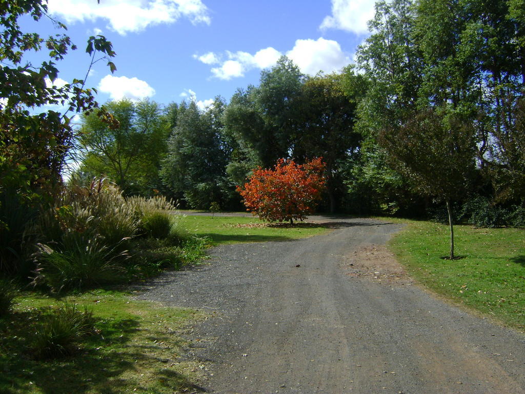 El Ranchito De Areco Vila San Antonio de Areco Exterior foto