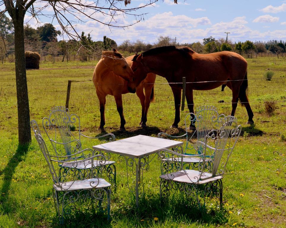 El Ranchito De Areco Vila San Antonio de Areco Exterior foto